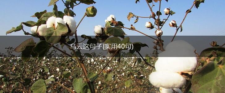 乌云这句子(实用40句),第1张