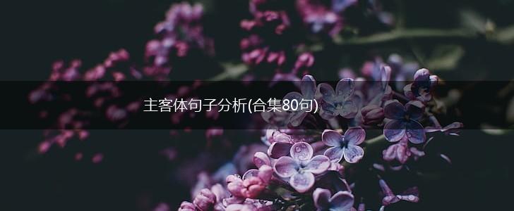 主客体句子分析(合集80句),第1张