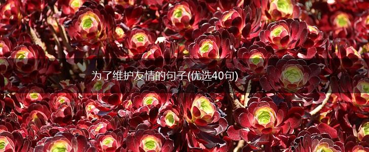 为了维护友情的句子(优选40句),第1张