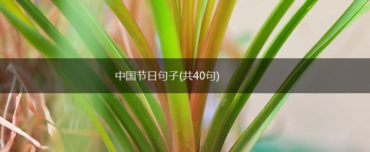 中国节日句子(共40句),第1张