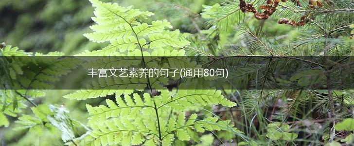 丰富文艺素养的句子(通用80句),第1张