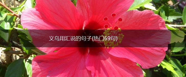 义乌用汇说的句子(热门69句),第1张