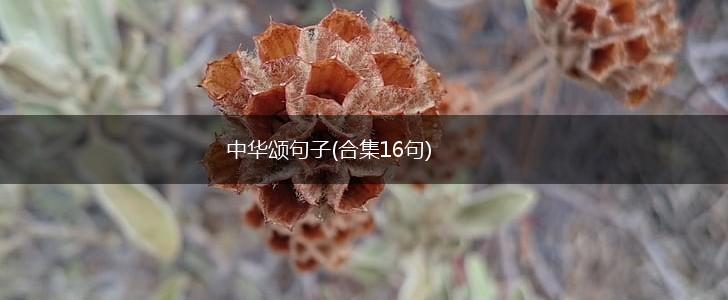 中华颂句子(合集16句),第1张
