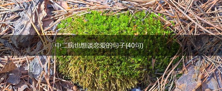 中二病也想谈恋爱的句子(40句),第1张