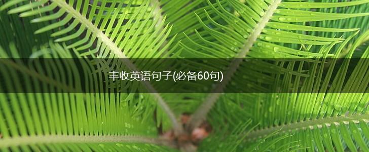 丰收英语句子(必备60句),第1张
