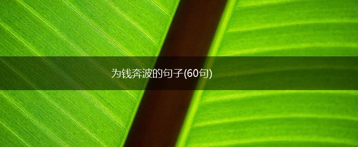 为钱奔波的句子(60句),第1张