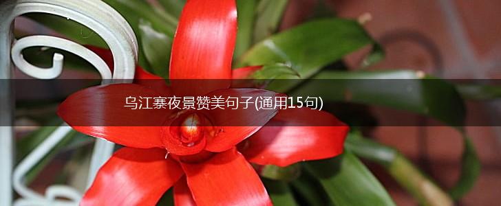 乌江寨夜景赞美句子(通用15句),第1张