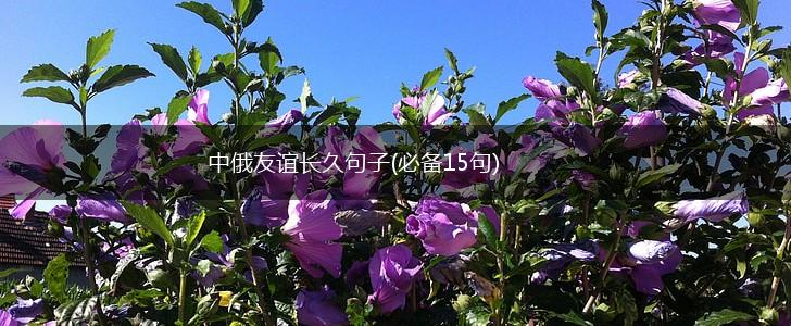 中俄友谊长久句子(必备15句),第1张