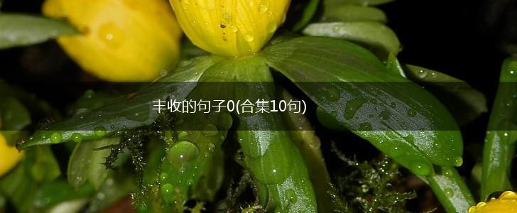 丰收的句子0(合集10句),第1张