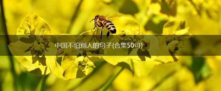 中国不怕别人的句子(合集50句),第1张