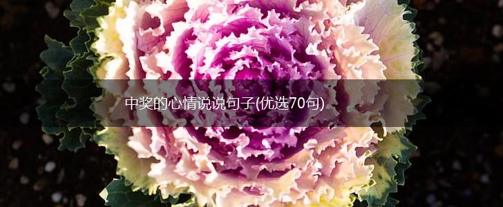 中奖的心情说说句子(优选70句),第1张