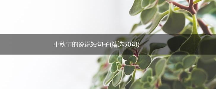 中秋节的说说短句子(精选50句),第1张