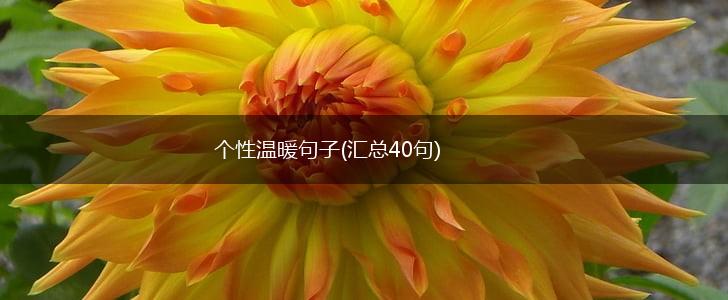 个性温暖句子(汇总40句),第1张