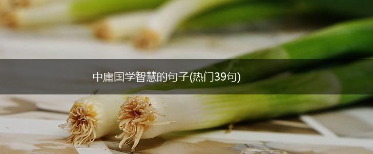 中庸国学智慧的句子(热门39句),第1张