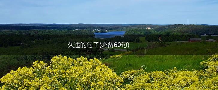 久违的句子(必备60句),第1张