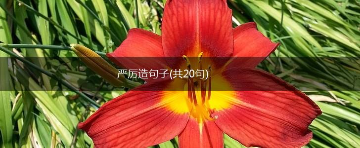 严厉造句子(共20句),第1张