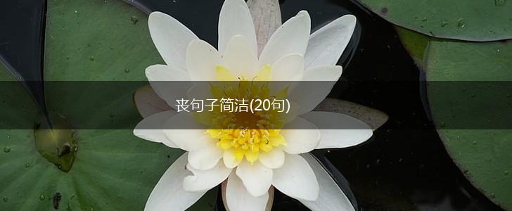 丧句子简洁(20句),第1张