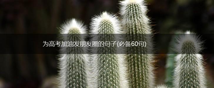 为高考加油发朋友圈的句子(必备60句),第1张
