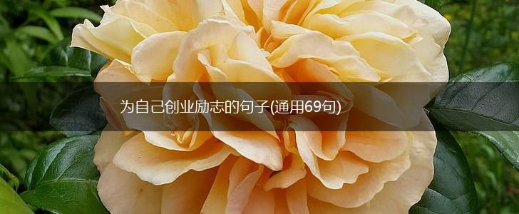 为自己创业励志的句子(通用69句),第1张