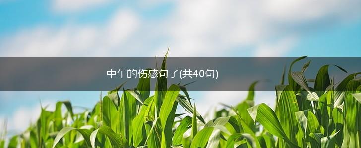 中午的伤感句子(共40句),第1张
