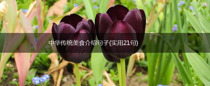 中华传统美食介绍句子(实用21句),第1张