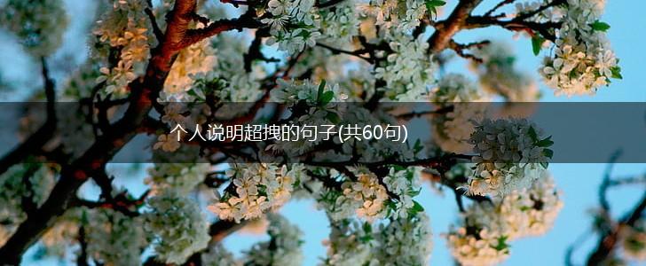 个人说明超拽的句子(共60句),第1张