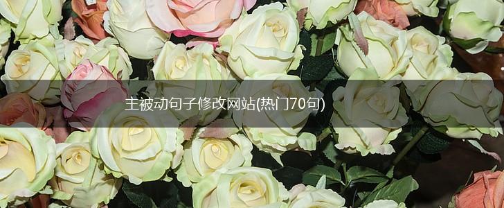 主被动句子修改网站(热门70句),第1张