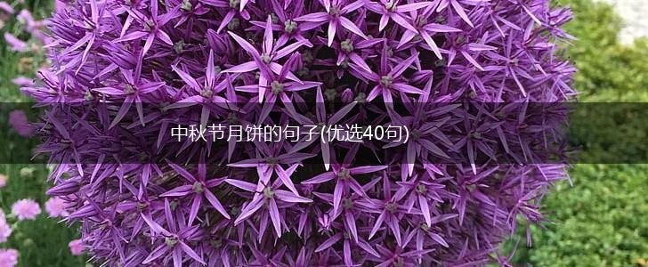 中秋节月饼的句子(优选40句),第1张