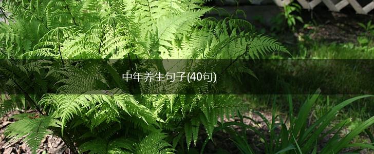中年养生句子(40句),第1张