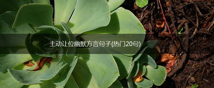 主动让位幽默方言句子(热门20句),第1张