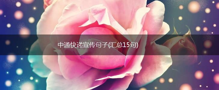 中通快递宣传句子(汇总15句),第1张