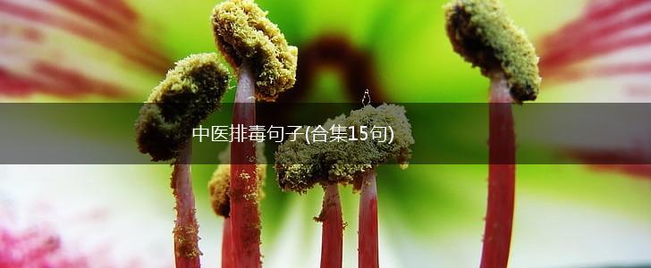 中医排毒句子(合集15句),第1张