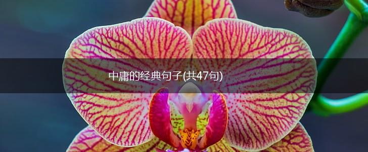 中庸的经典句子(共47句),第1张