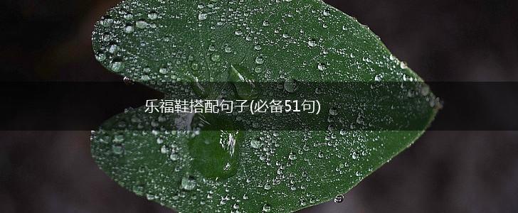 乐福鞋搭配句子(必备51句),第1张