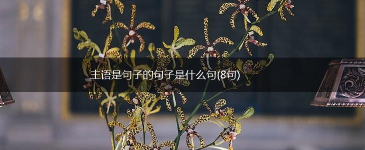主语是句子的句子是什么句(8句),第1张