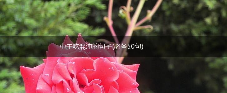 中午吃混沌的句子(必备50句),第1张