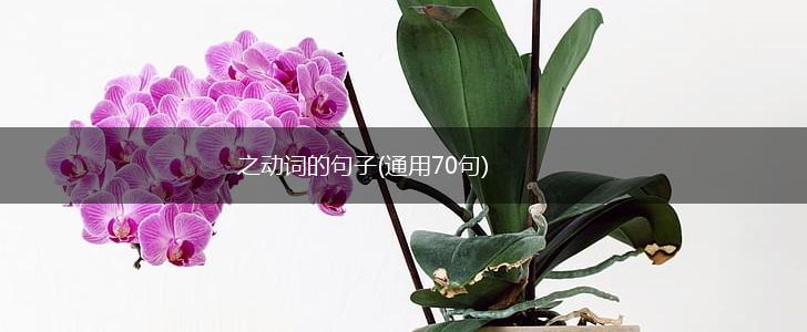 之动词的句子(通用70句),第1张