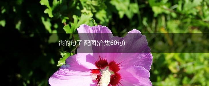 丧的句子 配图(合集60句),第1张