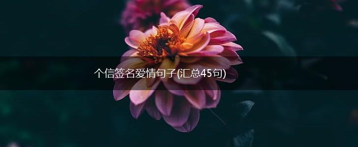 个信签名爱情句子(汇总45句),第1张