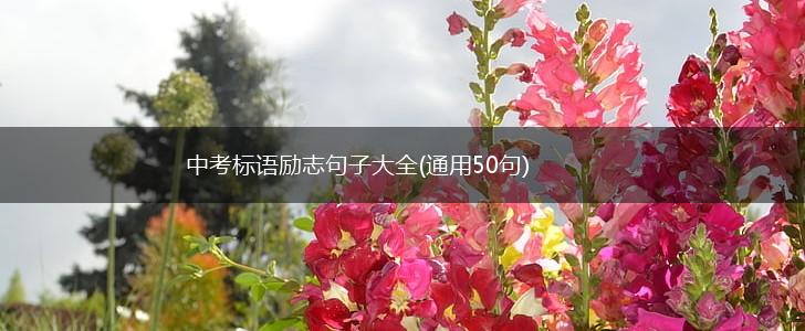 中考标语励志句子大全(通用50句),第1张