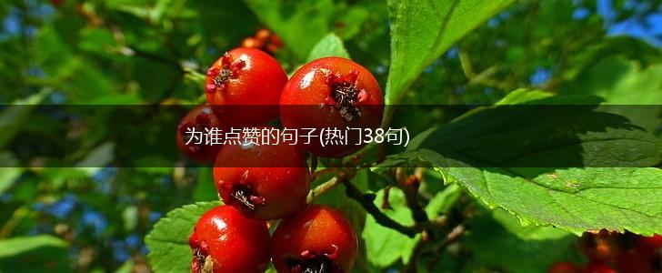 为谁点赞的句子(热门38句),第1张