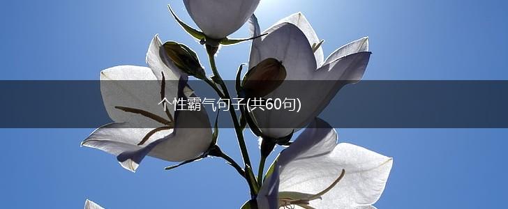 个性霸气句子(共60句),第1张