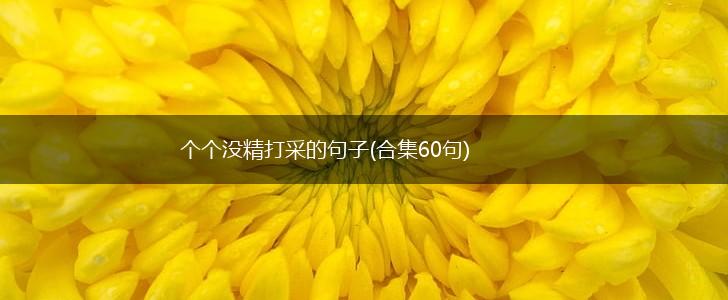 个个没精打采的句子(合集60句),第1张