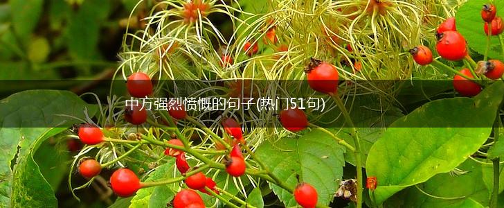 中方强烈愤慨的句子(热门51句),第1张