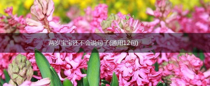 两岁宝宝还不会说句子(通用12句),第1张