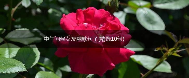 中午问候女友幽默句子(精选10句),第1张