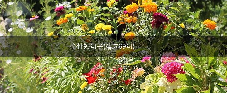 个性短句子(精选69句),第1张