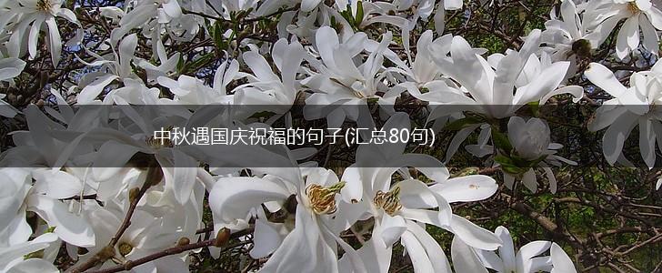 中秋遇国庆祝福的句子(汇总80句),第1张