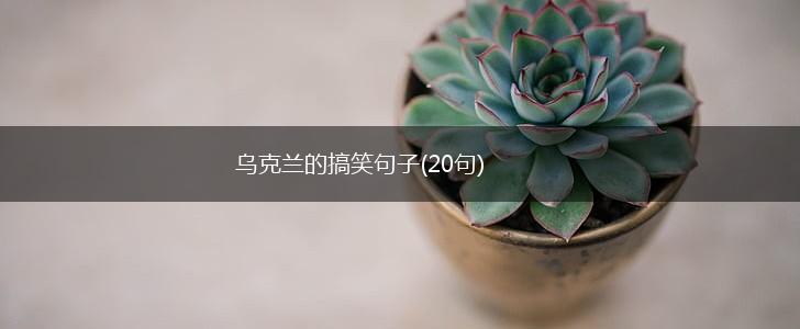 乌克兰的搞笑句子(20句),第1张