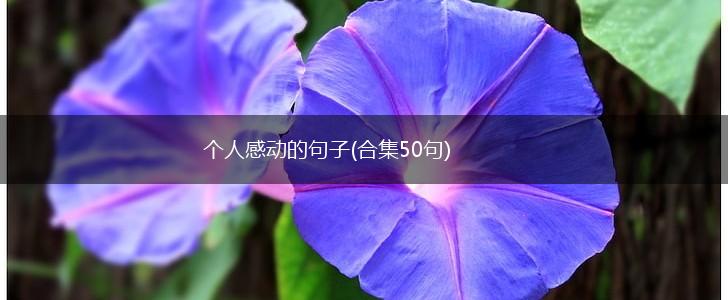 个人感动的句子(合集50句),第1张